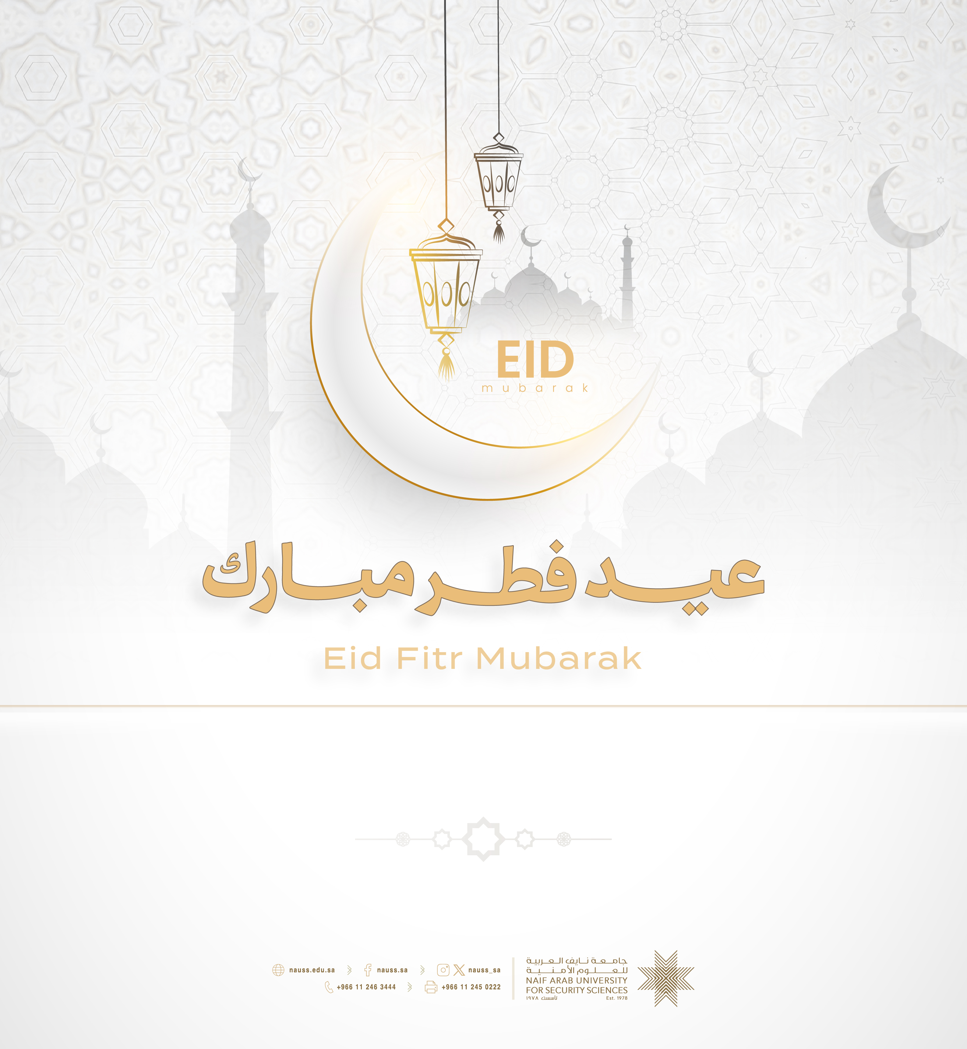 القالب المختار